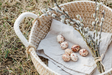 chocolate quail eggs on a cloth in a basket with a willow on the background of grass