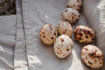 Obraz premium chocolate quail eggs on a cloth in a basket