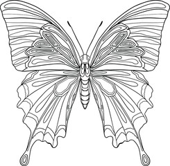 Cute decorative butterfly. Hand drawn vector. Coloring book for children and adults. Stylish ornaments. Dood and Zen, meditation, relaxation. Isolated on white background. Line art. Outline