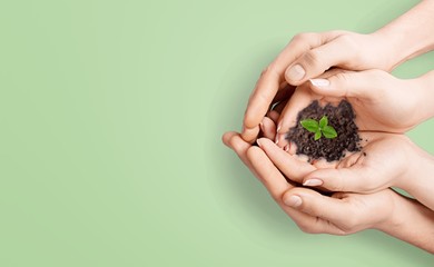 Eco.