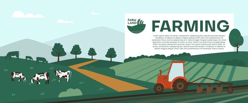 Cows farming on green meadow agricultural business concept.