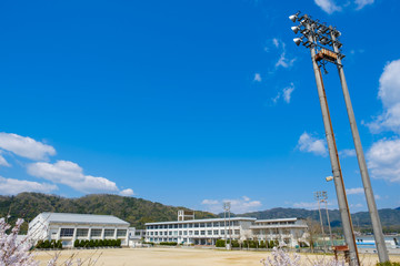 写真素材：学校と満開の桜　青空　