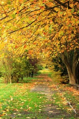 Naklejka premium Park Zamkowy, Wojnowice, dolnośląskie