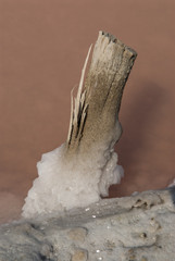 Détail de la saline d'Ifaty / Toliara - Madagascar.