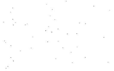 Flock of birds isolated on white background