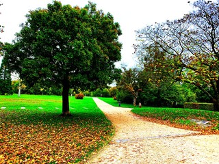 Brabois park sideway at fall