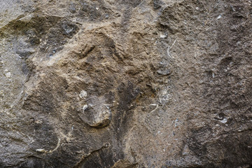 Rock surface, grey color, abstract nature background.