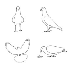 Outline pigeons dove birds icon vector set isolated on white background