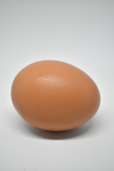 Single egg on a white background