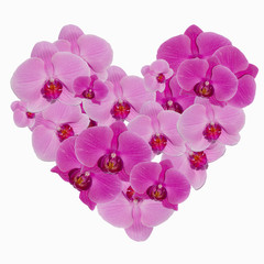 Fototapeta na wymiar Phalaenopsis orchid heart composition for prints on fabric, paper, backgrounds and various designs