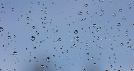 rain drops on the window 