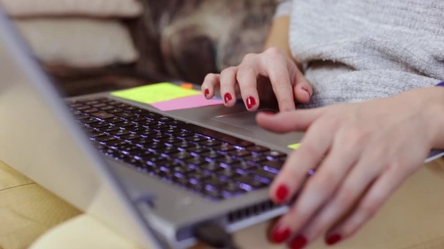 Anonymous woman surfing Internet and typing on laptop. Female freelancer working remotely on netbook from home