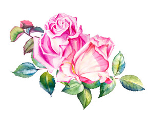 Watercolor two pink roses bouquet. Hand drawn floral illustration. Wedding, birthday and Valentine drawing. For greeting cards, invitations,  design, patterns, prints, decor. Flower scape, in bloom.
