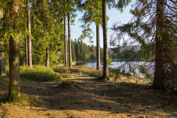 Bank am See zum entspannen