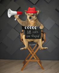 The dog director in a red hat is sitting on a high wooden chair and holding a megaphone and a clapperboard with inscription all cats are stupid.