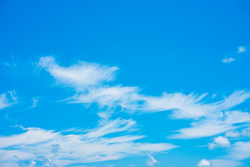 Naklejka na ściany i meble blue sky and white clouds.