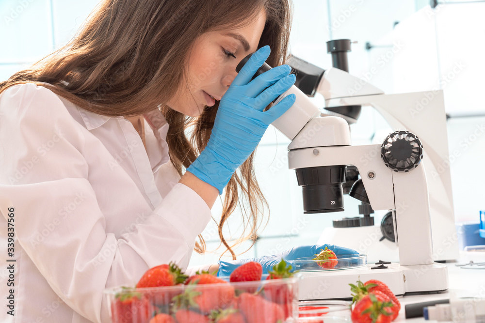 Wall mural Quality inspection of agricultural food products. Checking the content of nitrates and herbicides in strawberries