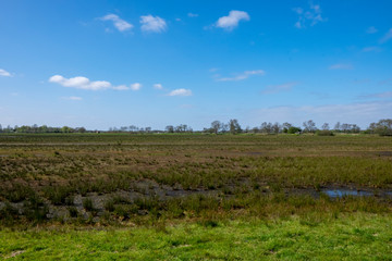 Fototapeta na wymiar field of peat in a dutch landscape in holland in the netherlands