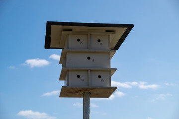 wooden bird house hotel in the sky