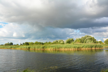 Fototapeta premium Breathtaking river landscape with a sunny river bank, river shore covered with Phragmites australis, common reed and with trees in the background and stormy cloud in the sky.