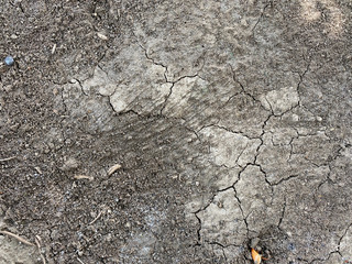 Dried cracked earth soil ground texture background. 