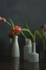 White vases with red tulips on a wooden table.