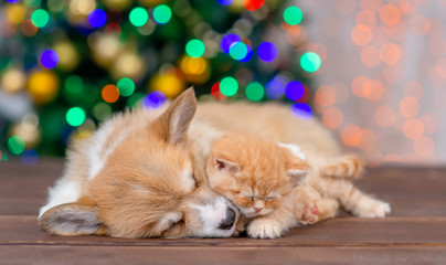Cute Pembroke welsh corgi puppy and tiny kitten hugging and sleeping together on festive Christmas background