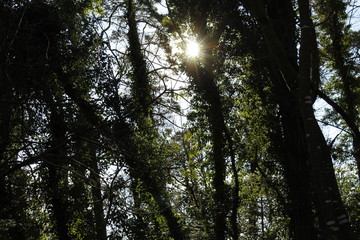 Fototapeta premium Johnstown Castle Wexford Ireland
