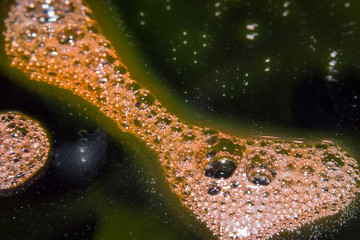 Bubbles in the black scene