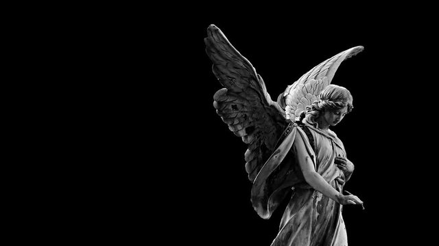 animation of woman angel flapping with wings on black background