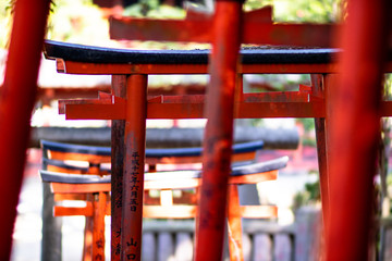 Fototapeta na wymiar Tokyo, Japan - 9 8 2019: The rows of red 'torii' archways in Nezu shrine