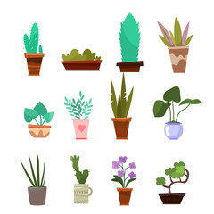 A large set of home plants in pots. Various indoor flowers, trees or bushes in the Wahs, elements for interior or garden