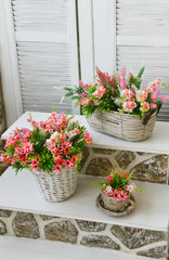 Flowers in pots on steps