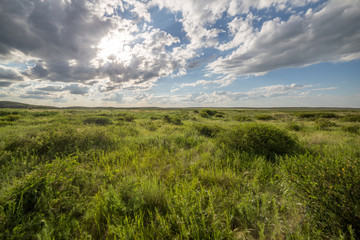 Obraz premium Arkaim is an ancient town in South Ural, Chelyabinsk region, Russia