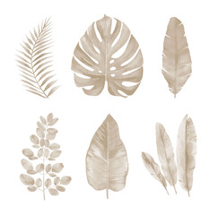 Dry tropical leaves set. Exotic foliage. Watercolour illustration isolated on white background.