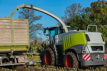 Maisernte, Maishäcksler in der Aktion, Erntewagen mit Traktor