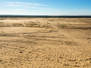 Blendow Desert (Pustynia Błędowska) in Poland. The largest inland, far from any sea,  area of loose sand in Central Europe. Unique tourist attraction. © nahlik