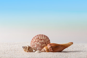 beach background, summer background concept