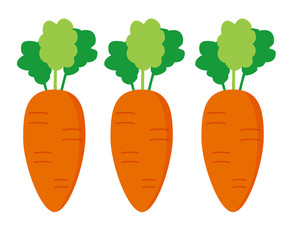 人参　野菜　イラスト　ベクター