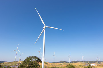 Beautiful green meadow with Wind turbines and sky  generating electricity in Thailand
