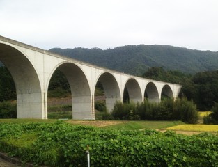 Fototapeta premium 橋