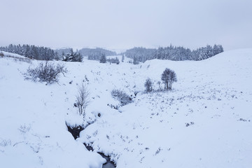 Fototapeta na wymiar Snow covered trees in Glen Garry, Scottish Highlands, UK.