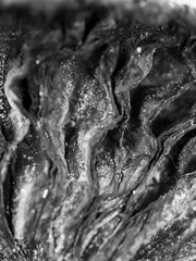 Abstract black and white