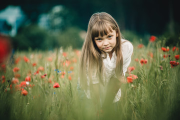 Obraz na płótnie Canvas beautiful girl with long hair in a field with poppies