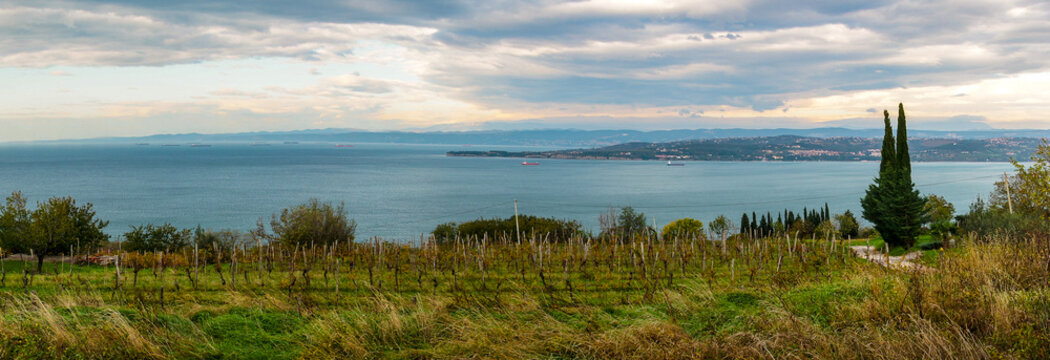 Slovenia panoramic sea