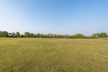 green field and blue sky