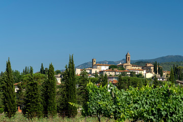 Summer landscape in Arezzo province, italy