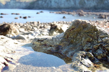 Rocas junto al mar con forma de la cabeza de un cocodrilo en una zona de acantilados de Cantabria