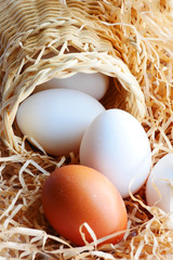 Wicker basket with natural chicken eggs are spread on cut paper with a close-up view from above. The Easter theme is preparing eggs before painting. Artificial nest - eggs on paper shavings.Copy space