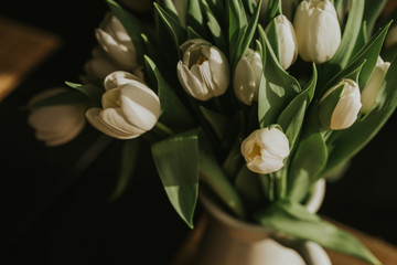 Naklejka premium bouquet of white tulips in a dark room